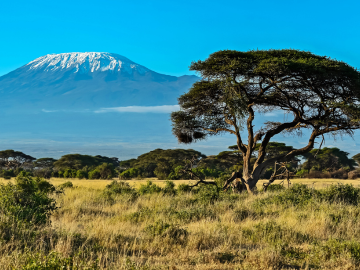 afrique-continent-a-propos